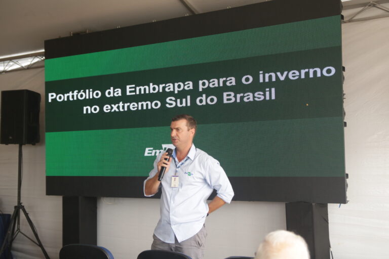Cereais de Inverno: Uma Alternativa Sustentável para Rotação de Culturas com Arroz e Soja