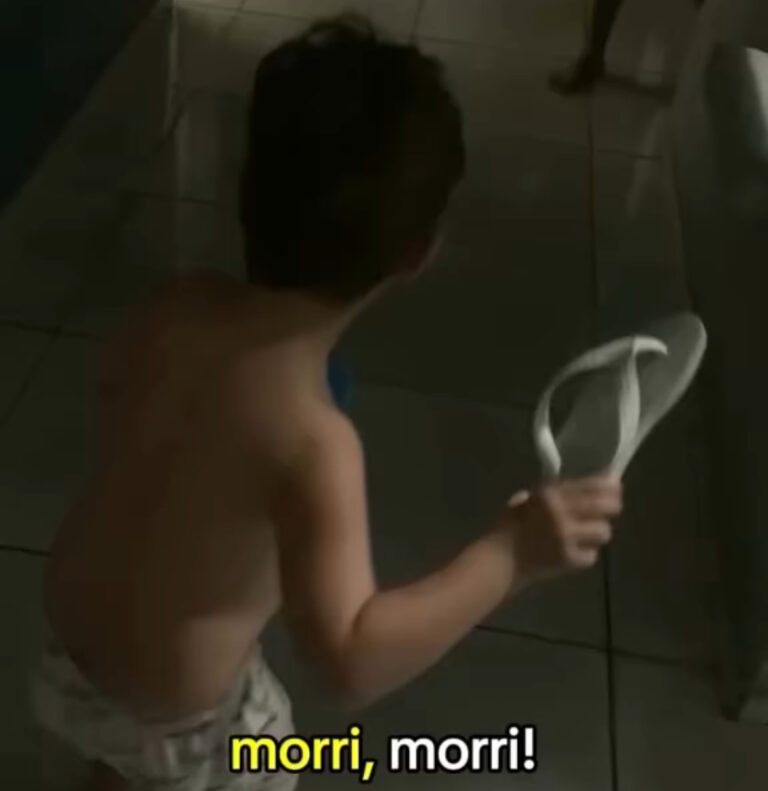 Menino de 5 anos se preocupa com barata: "Ela tem filhos?"