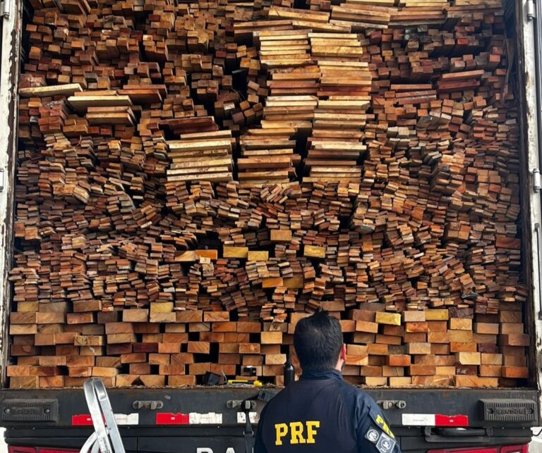 PRF Apreende 337m³ de Madeira Ilegal em Operação no Sertão de Pernambuco