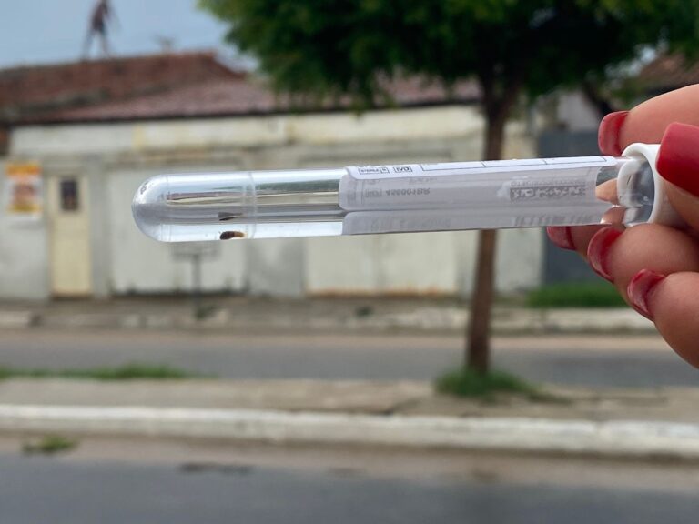 Chuvas em Petrolina Elevam Risco de Dengue, Zika e Chikungunya