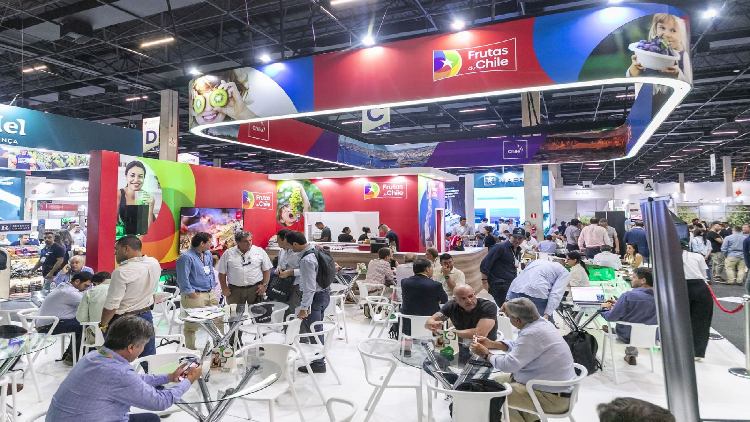 Petrolina Marca Presença na Maior Feira Internacional de Frutas do Hemisfério Sul Petrolina Marca Presença na Maior Feira Internacional de Frutas do Hemisfério Sul