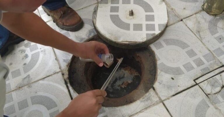 Prevenção de Picadas de Escorpião: Dicas Essenciais da Saúde em Maceió Prevenção de Picadas de Escorpião: Dicas Essenciais da Saúde em Maceió