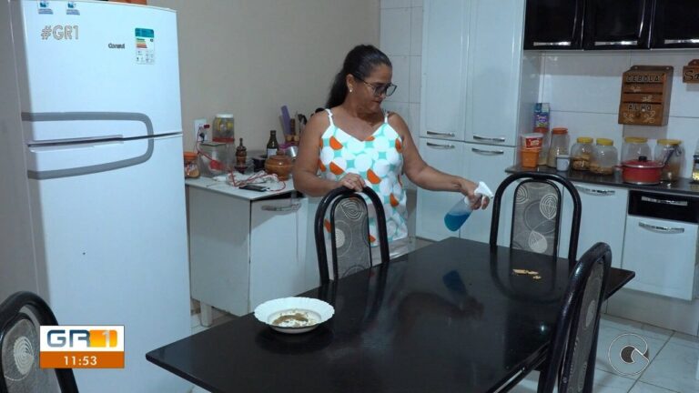 Virose da Mosca: Alertas sobre Infecções Gastrointestinais em Petrolina Virose da Mosca: Alertas sobre Infecções Gastrointestinais em Petrolina