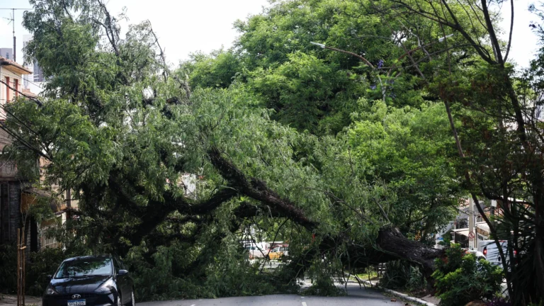 Alerta Vermelho: Mais da Metade de São Paulo Enfrenta Ventos Fortes do Ciclone-Bomba Alerta Vermelho: Mais da Metade de São Paulo Enfrenta Ventos Fortes do Ciclone-Bomba