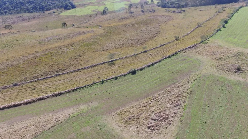 Mapeamento das rotas dos tropeiros no Rio Grande do Sul revela história esquecida