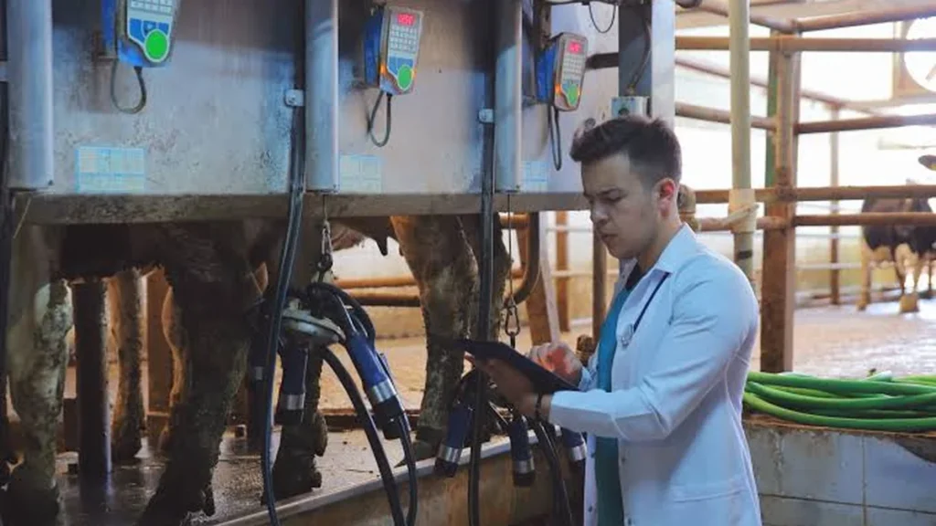 Como Passo Fundo Revoluciona a Produção de Leite no RS com Tecnologia Avançada Como Passo Fundo Revoluciona a Produção de Leite no RS com Tecnologia Avançada