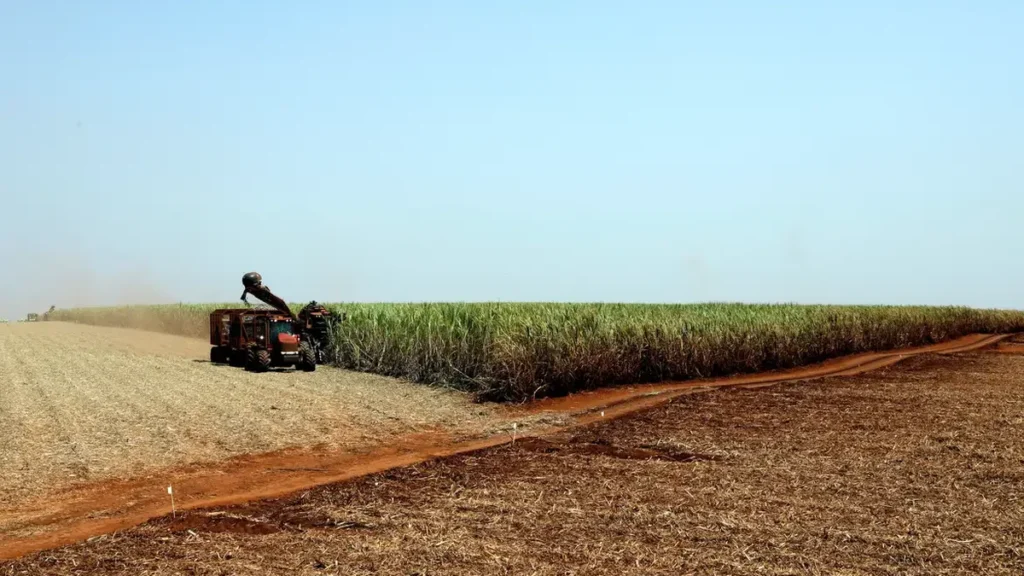 Pelotas promove 2º Congresso de Direito Agrário focado em sustentabilidade e inovação no agronegócio Pelotas promove 2º Congresso de Direito Agrário focado em sustentabilidade e inovação no agronegócio
