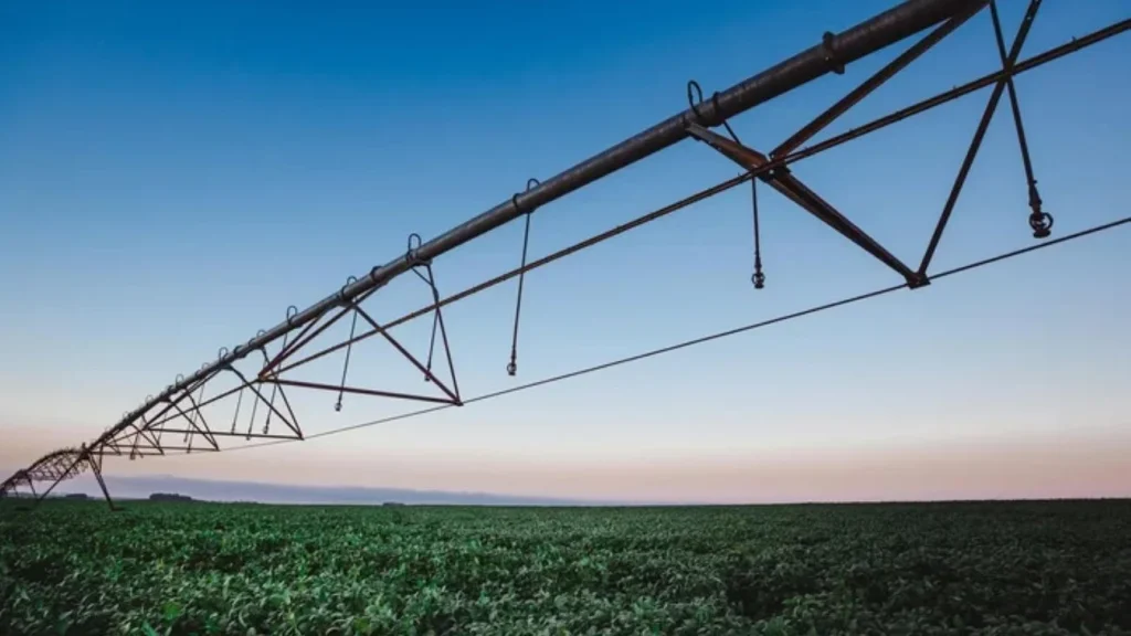 Desafios do Agronegócio Gaúcho Entre Secas, Dívidas e Sucessão Rural