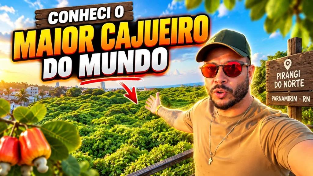 Descubra o Maior Cajueiro do Mundo em Pirangi: Uma Atração Única no Rio Grande do Norte