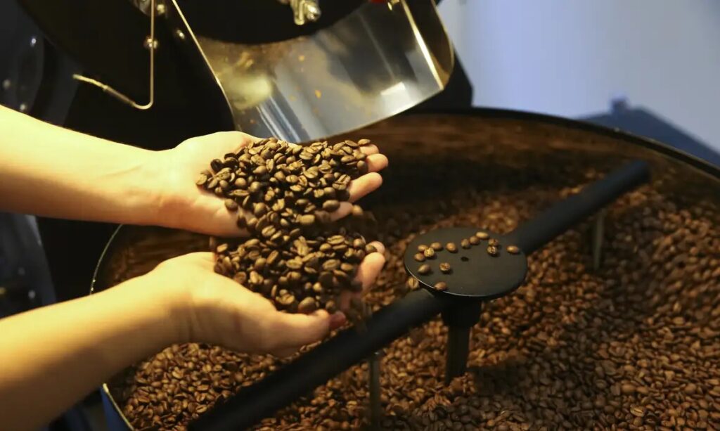 A Importância do Cooperativismo no Agronegócio: Um Pilar para o Desenvolvimento Econômico