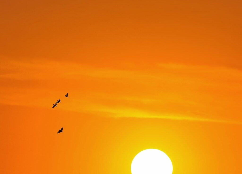 Alerta Laranja do INMET: Onda de Calor Impacta Saúde em Belo Horizonte até 30 de Dezembro Alerta Laranja do INMET: Onda de Calor Impacta Saúde em Belo Horizonte até 30 de Dezembro