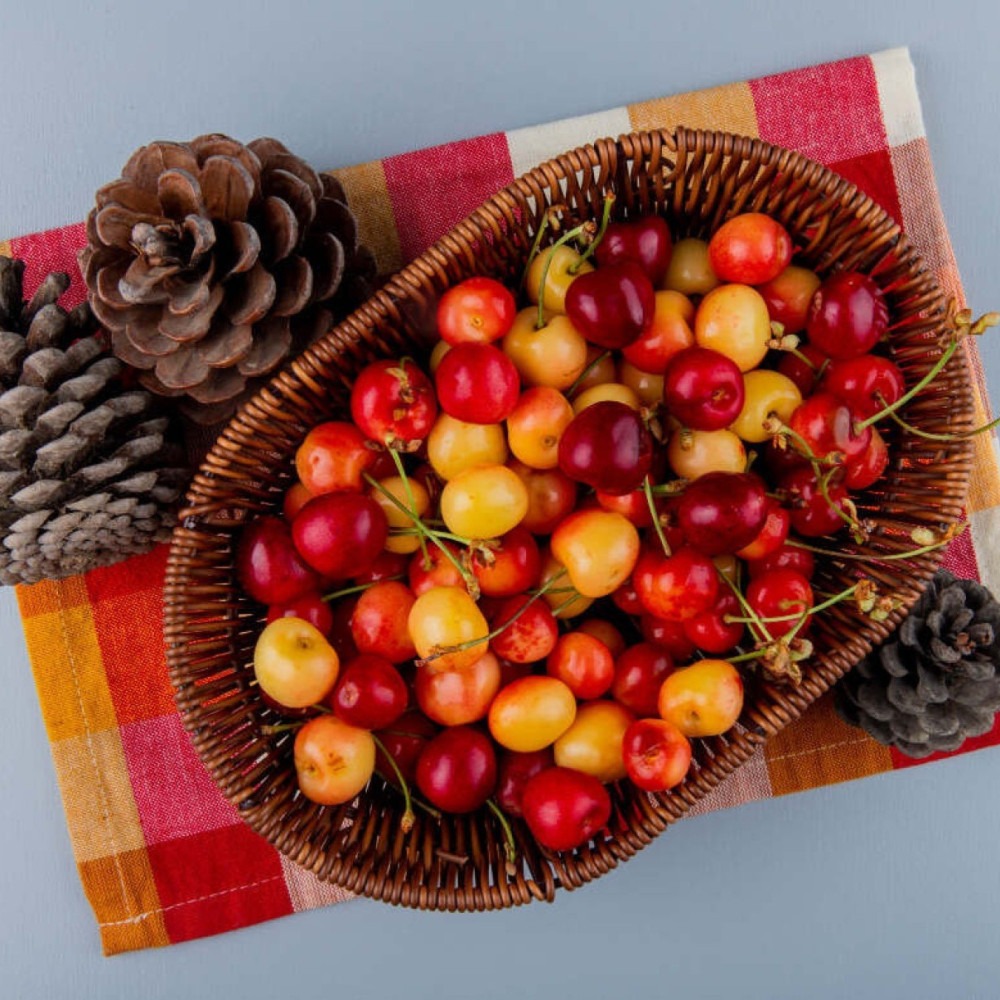Diabetes: 6 Dicas Cruciais para Aproveitar as Festas de Fim de Ano Diabetes: 6 Dicas Cruciais para Aproveitar as Festas de Fim de Ano