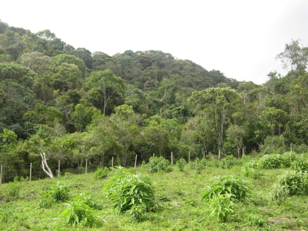 ICMS Ecológico Integra Painel do Sisema e Supera R$ 1 Bilhão em Repasses ICMS Ecológico Integra Painel do Sisema e Supera R$ 1 Bilhão em Repasses