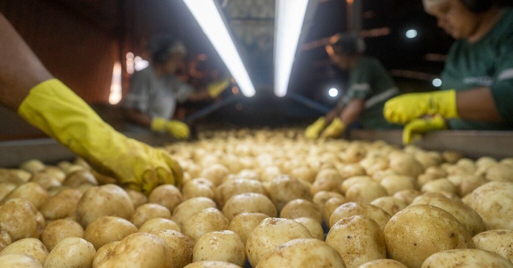Minas Gerais Recebe R$ 65,3 Bilhões em Investimentos em 2025