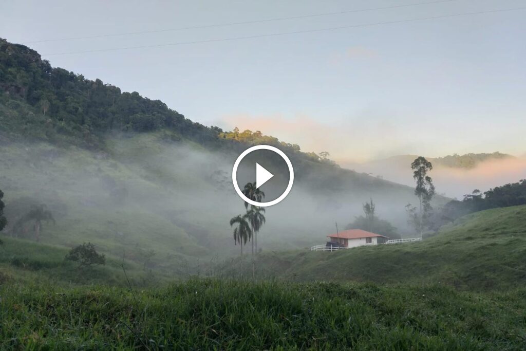 Retrospectiva 2025: Temas Ambientais que Marcaram o Ano na Biosfera Retrospectiva 2025: Temas Ambientais que Marcaram o Ano na Biosfera