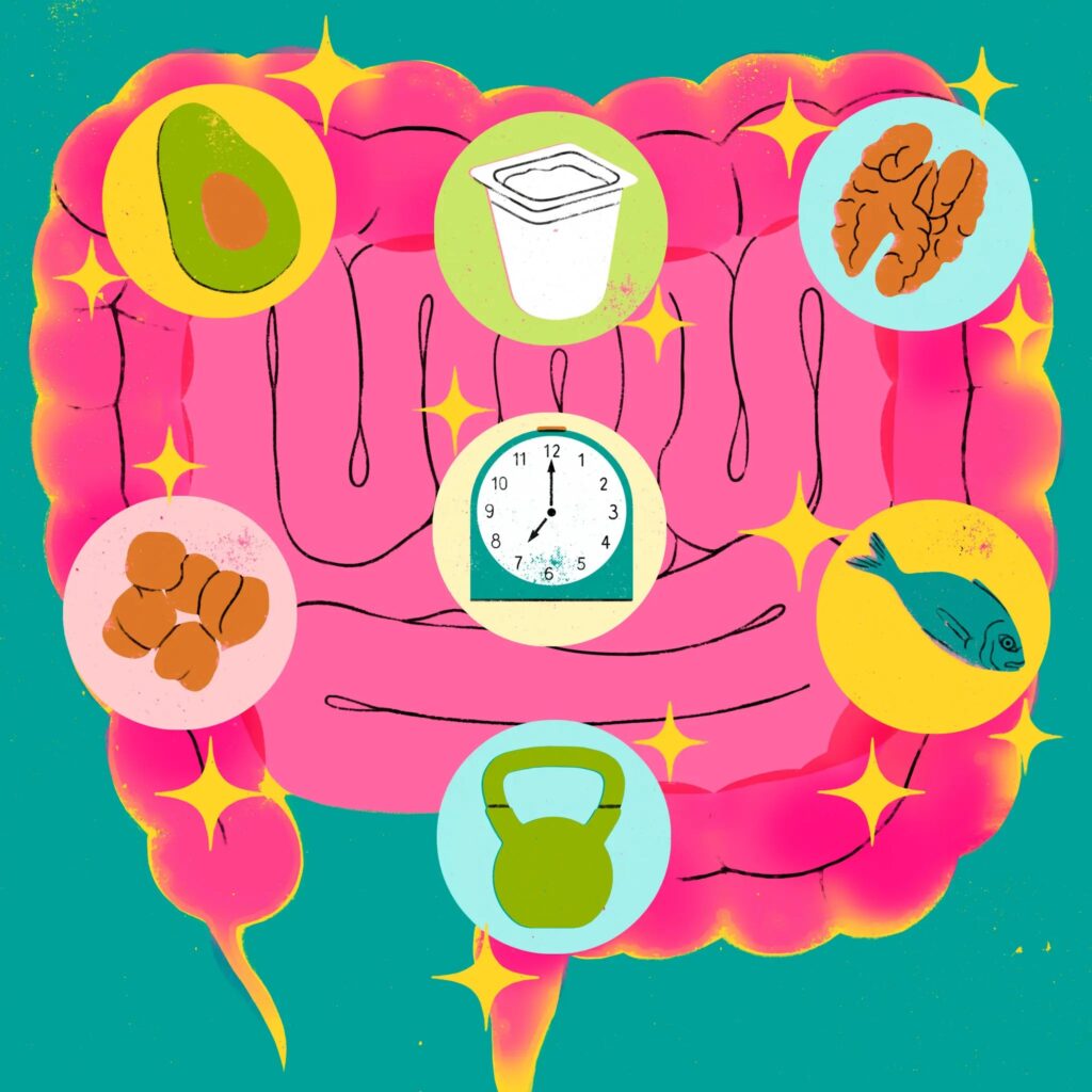 7 Estratégias para Potencializar a Saúde do Intestino e Prevenir Doenças 7 Estratégias para Potencializar a Saúde do Intestino e Prevenir Doenças