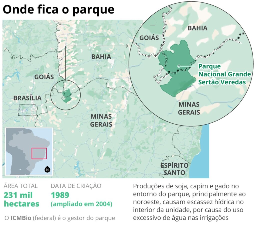 Ameaças às Paisagens do Grande Sertão Veredas: Expansão de Soja e Criação de Gado em Foco