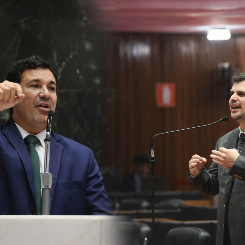 Análise das Palavras Usadas na ALMG: Estratégias Políticas em Foco Análise das Palavras Usadas na ALMG: Estratégias Políticas em Foco