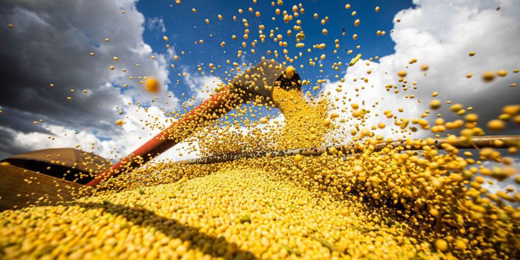 Brasil Pode Quebrar Recorde Histórico na Produção de Grãos em 2025-2026