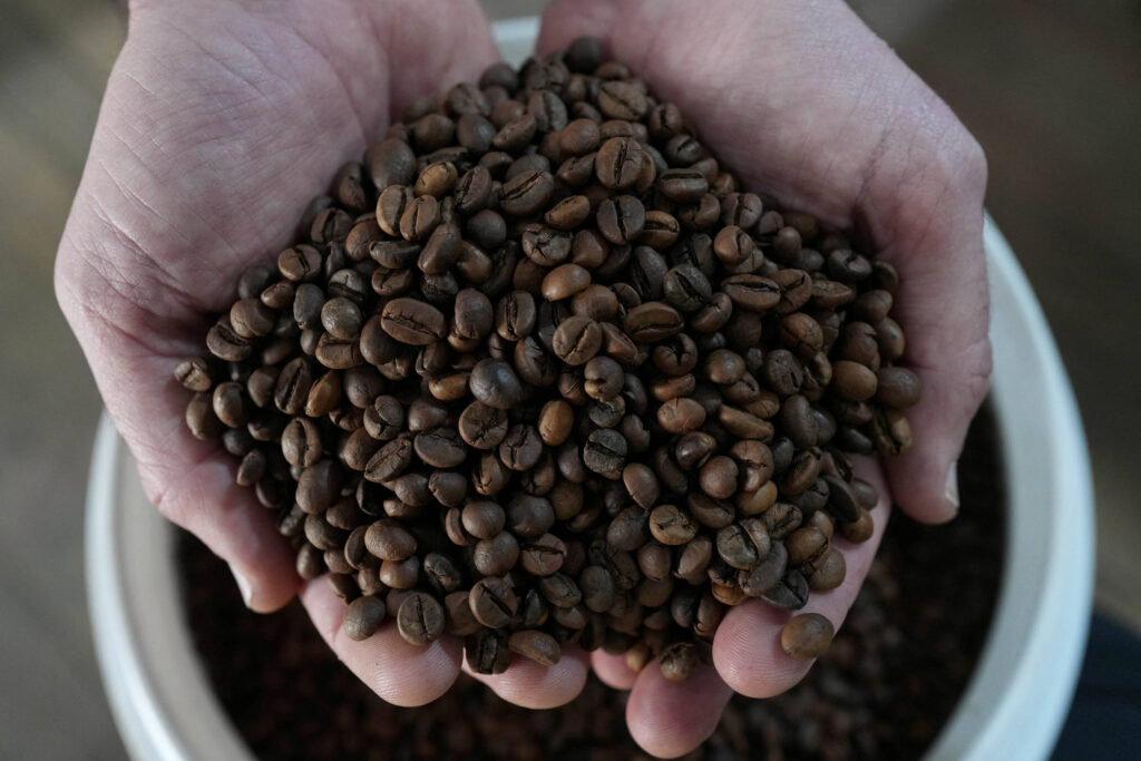 Café na Prensa: Minas Gerais Aumenta Produção de Café Conilon e Diversifica Cultivo Café na Prensa: Minas Gerais Aumenta Produção de Café Conilon e Diversifica Cultivo