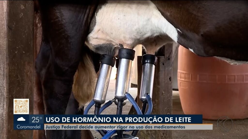 Justiça Federal Intensifica Fiscalização sobre Hormônios na Produção de Leite em Minas Gerais Justiça Federal Intensifica Fiscalização sobre Hormônios na Produção de Leite em Minas Gerais