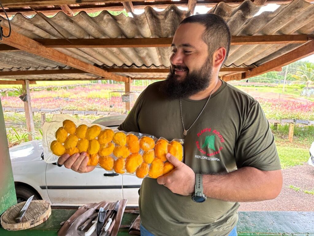 Pequi Sem Espinho: Inovação que Transforma Alimento e Cosméticos no Centro-Oeste