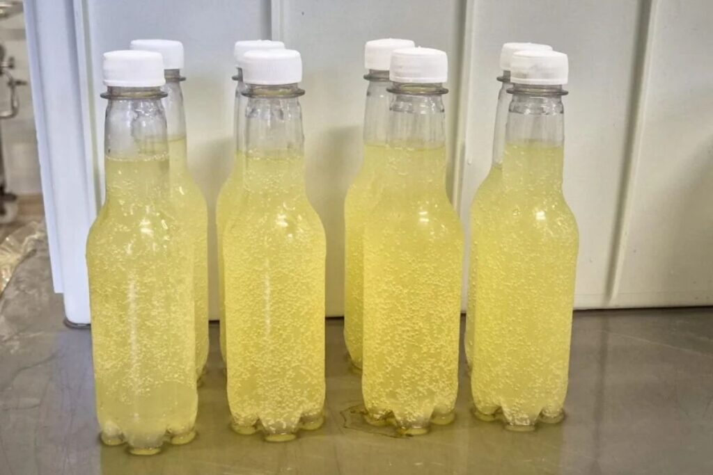 Soro de Leite Transforma-se em Refrigerante e Promove Renda em Minas Gerais