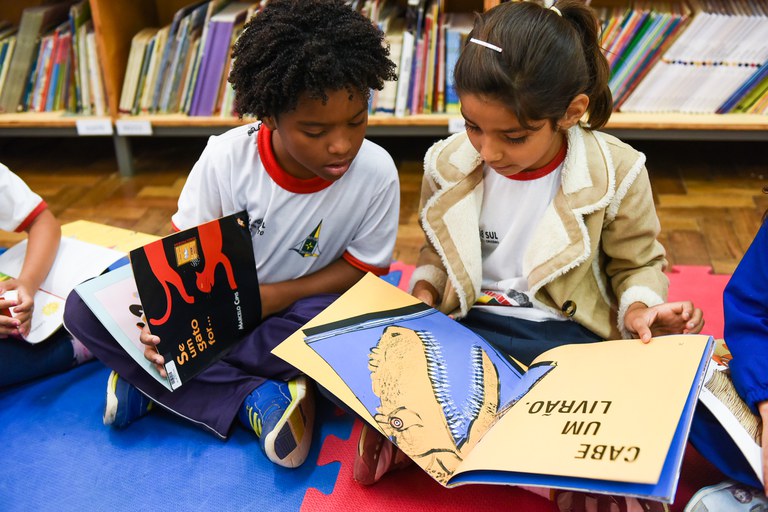 UFMG Lidera Programa Nacional de Formação em Leitura e Escrita na Educação Infantil UFMG Lidera Programa Nacional de Formação em Leitura e Escrita na Educação Infantil