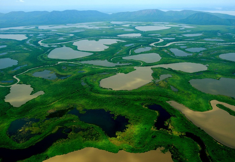 Avanços na Proteção do Pantanal: Brasil Amplia Unidades de Conservação na COP15 Avanços na Proteção do Pantanal: Brasil Amplia Unidades de Conservação na COP15