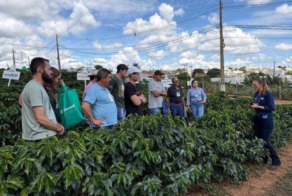 Cafeicultura em Minas Gerais Inova com Tecnologias para Enfrentar Desafios Climáticos e de Mercado Cafeicultura em Minas Gerais Inova com Tecnologias para Enfrentar Desafios Climáticos e de Mercado