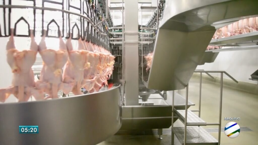 Conflito no Oriente Médio: Impactos no Mercado Brasileiro de Carne de Frango
