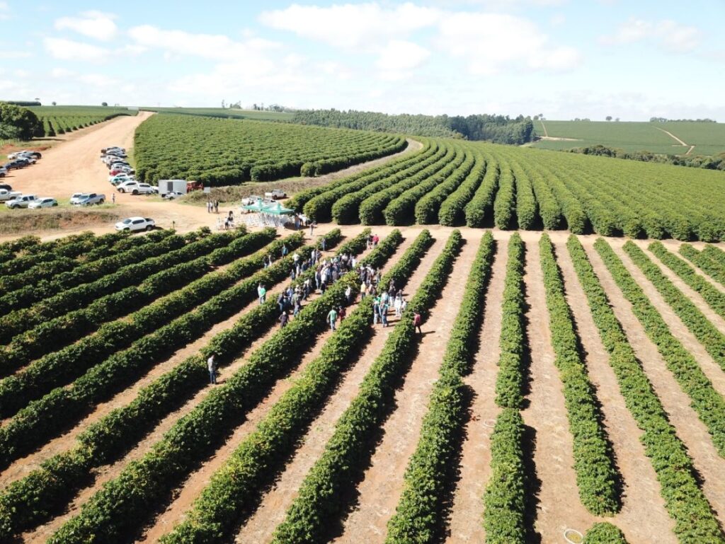 Crescimento do PIB de Minas Gerais em 2025 é de 1,4%, abaixo da média nacional Crescimento do PIB de Minas Gerais em 2025 é de 1,4%, abaixo da média nacional