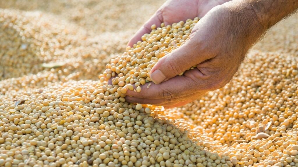 Minas Gerais Atinge PIB Recorde de R$ 1,157 Trilhão em 2025