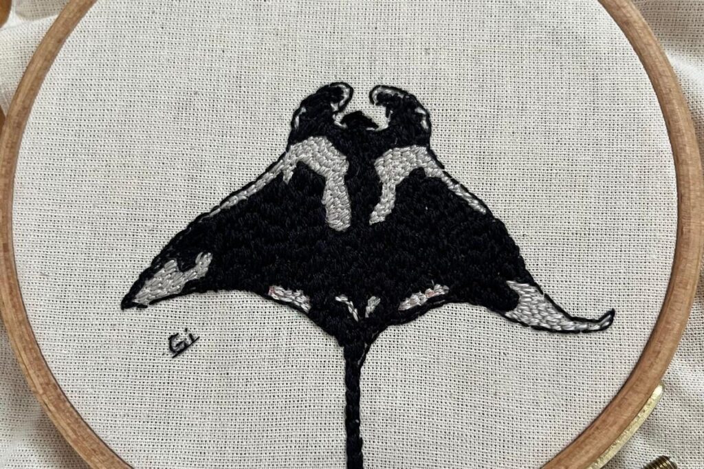 Oficina de Bordado Une Arte e Conservação da Biodiversidade na UFMG Oficina de Bordado Une Arte e Conservação da Biodiversidade na UFMG