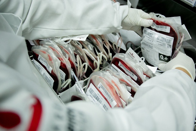 Política Nacional de Sangue Completa 25 Anos: Um Marco na Saúde Pública Brasileira Política Nacional de Sangue Completa 25 Anos: Um Marco na Saúde Pública Brasileira