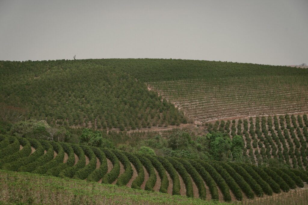 Preço da Terra no Brasil: Variações de R$ 1 Mil a R$ 2 Milhões por Hectare Preço da Terra no Brasil: Variações de R$ 1 Mil a R$ 2 Milhões por Hectare