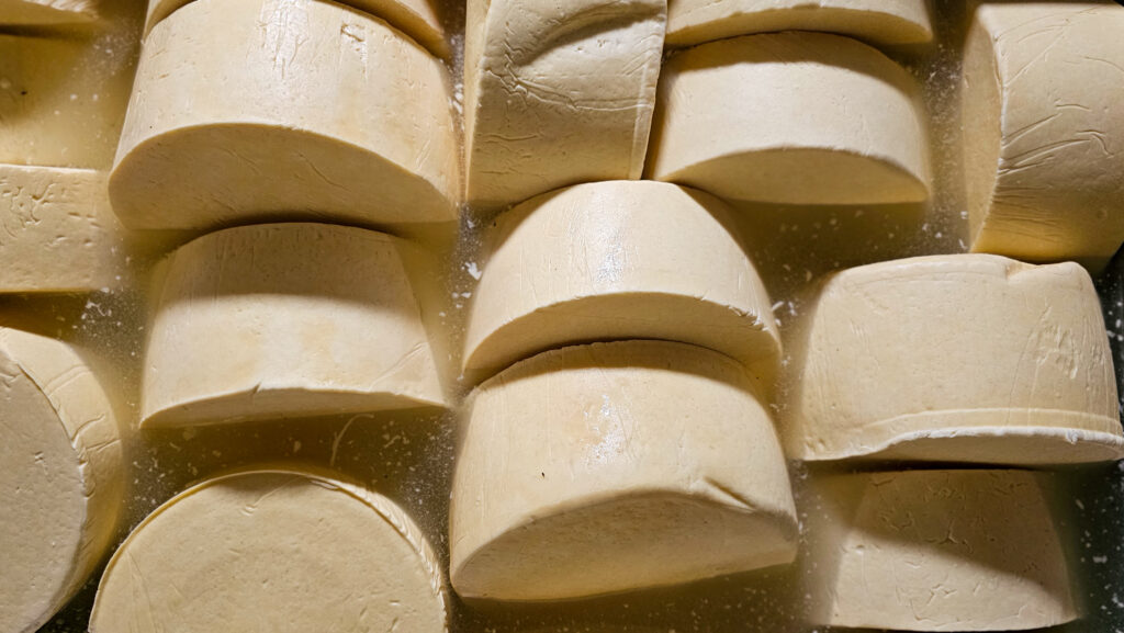 Queijo Artesanal do Vale do Suaçuí: Regulamentação Técnica Abre Novos Mercados no Brasil