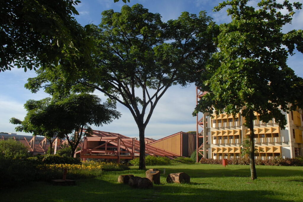 UFMG Implementa Cotas para Pessoas Trans e Abre Novas Oportunidades UFMG Implementa Cotas para Pessoas Trans e Abre Novas Oportunidades