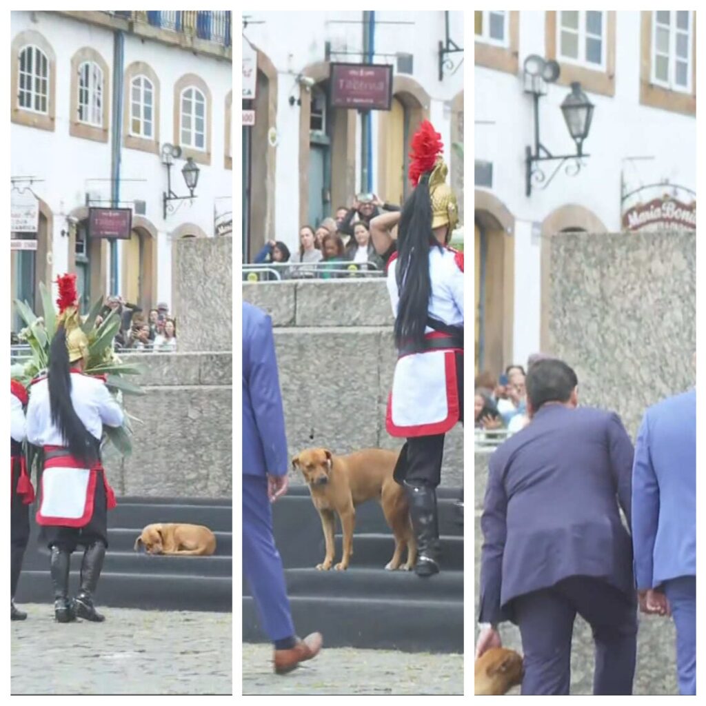 Cachorro Caramelo Encanta Cerimônia da Medalha da Inconfidência em MG