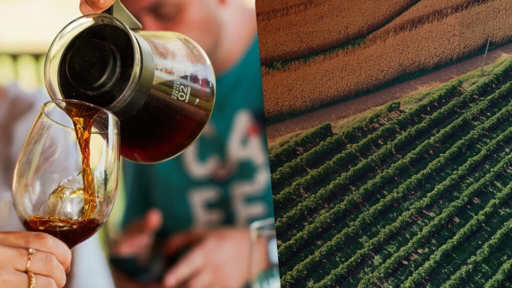 Descubra Destinos Imperdíveis para Vivenciar a Cultura do Café no Brasil Descubra Destinos Imperdíveis para Vivenciar a Cultura do Café no Brasil