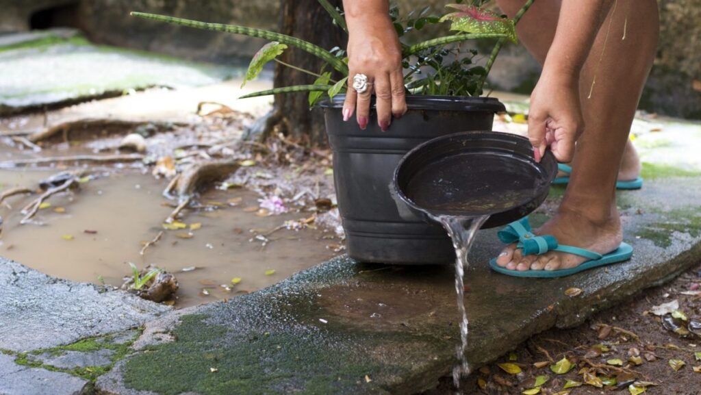 Minas Gerais Lança Primeiro Levantamento do Aedes aegypti em 2026 e Reforça Medidas de Prevenção