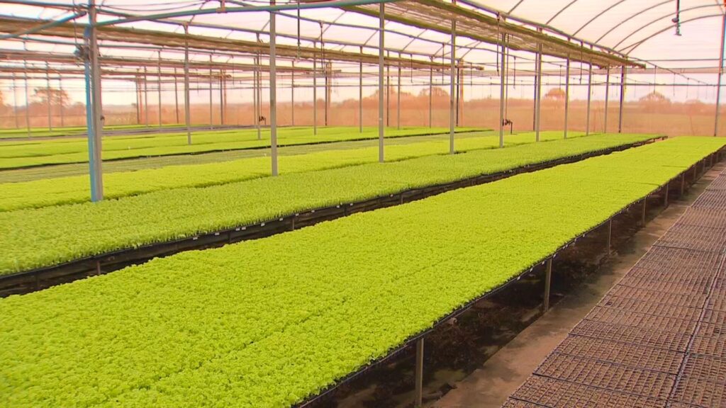 Inovações e Gestão Transformam o Agronegócio no Noroeste Paulista Inovações e Gestão Transformam o Agronegócio no Noroeste Paulista