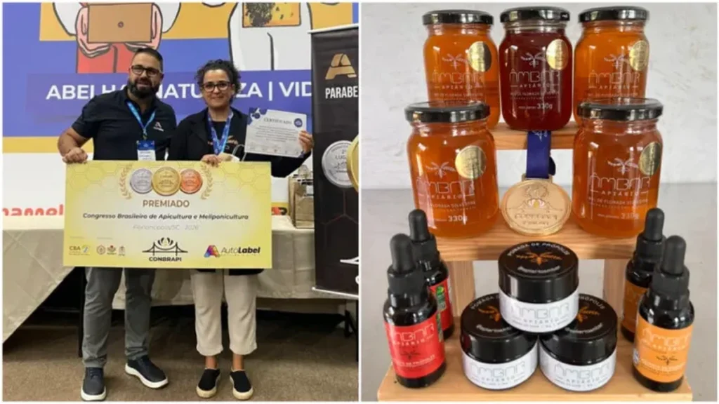 Mel Premiado de Minas Gerais: Como o Apiário Âmbar Revoluciona o Mercado Apícola