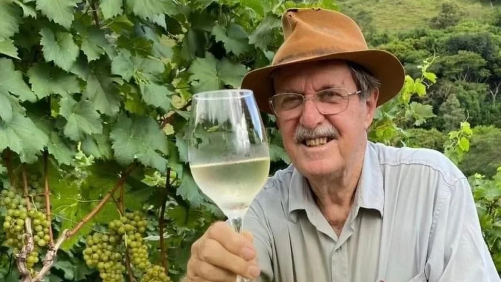 Cultivo de Uvas Piwis Reduz Custos e Impulsiona Vinho Sustentável em Minas Gerais