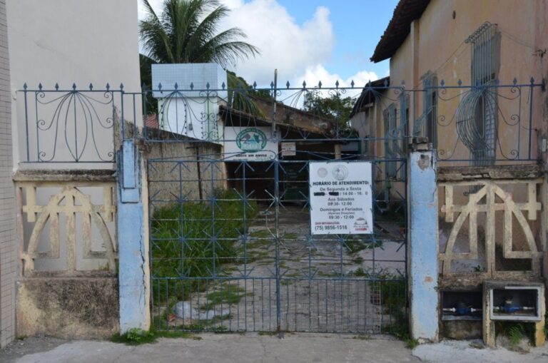 MP da Bahia Processa Prefeitura de Alagoinhas para Proteger Animais Abandonados Imagem do artigo