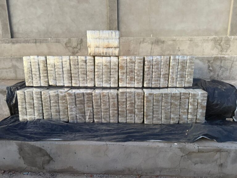 Homem Morre em Confronto com a Polícia Após Transportar 500 kg de Cocaína na Bahia Imagem do artigo