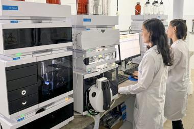 Pesquisadora do Cetab Recebe Prêmio por Estudo Inovador sobre Abelhas sem Ferrão Pesquisadora do Cetab Recebe Prêmio por Estudo Inovador sobre Abelhas sem Ferrão