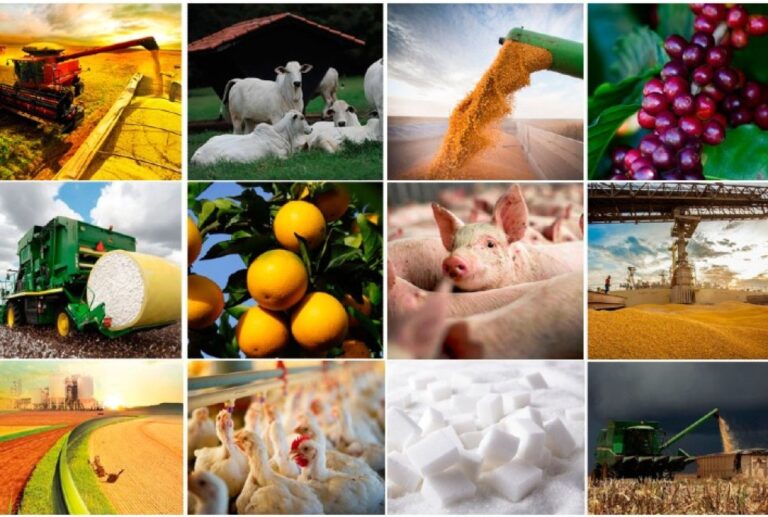 Verão 2025/26 Promete Impulsionar o Agronegócio com Chuvas Regulares e Temperaturas Amenas Verão 2025/26 Promete Impulsionar o Agronegócio com Chuvas Regulares e Temperaturas Amenas