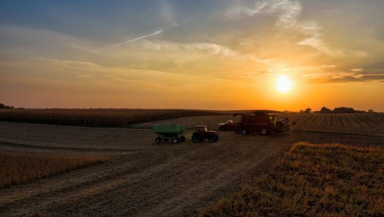 Verão Favorável: Expectativa de Chuvas Abundantes para o Agronegócio em 2025/26 Verão Favorável: Expectativa de Chuvas Abundantes para o Agronegócio em 2025/26