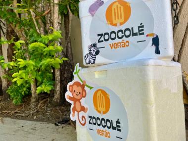 Verão no Parque Zoobotânico da Bahia: Cuidados Redobrados para o Bem-Estar Animal Verão no Parque Zoobotânico da Bahia: Cuidados Redobrados para o Bem-Estar Animal